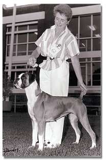 Ch.Taratan Miss Genevieve - winning BAOV Open Show