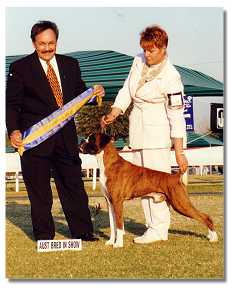 Radin winning Best Aust. Bred in Show