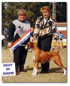 Ch.Taratan Free Sally winning Best in Show