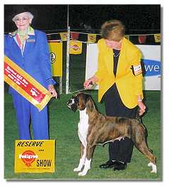 Ch.Taratan Lady is a Tramp winning RU in Show