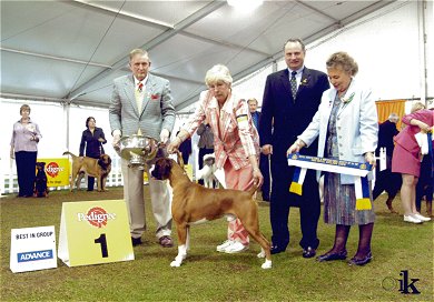 Champion Taratan Eye of the Tiger BIG Adelaide Royal 2005