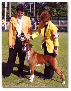 Stolli winning Best in Group - judge Mrs L Brand (NSW)